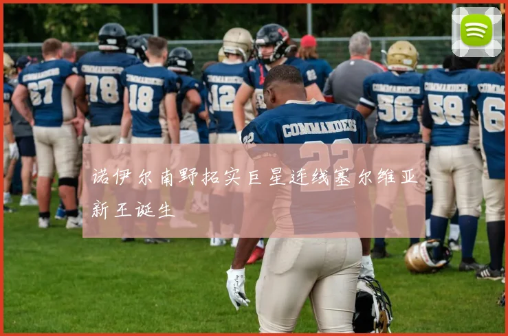 诺伊尔南野拓实巨星连线塞尔维亚新王诞生