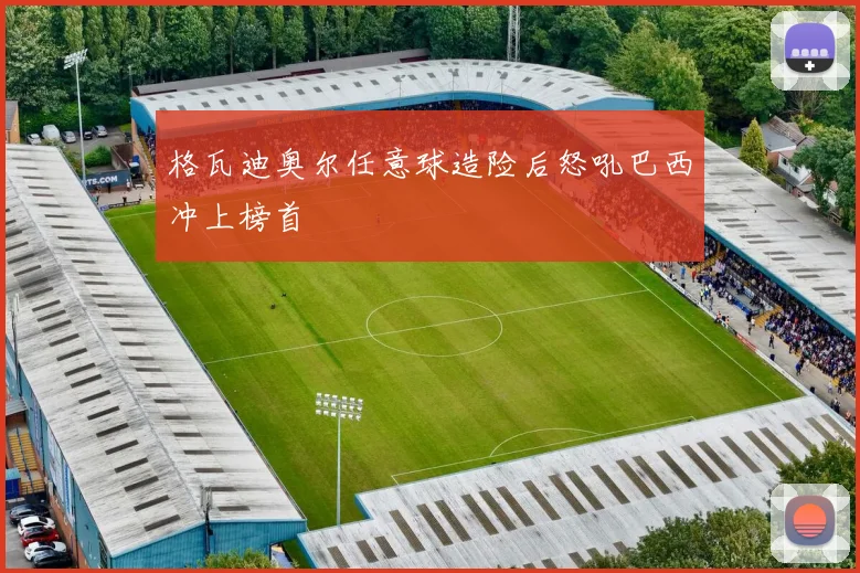 格瓦迪奥尔任意球造险后怒吼巴西冲上榜首