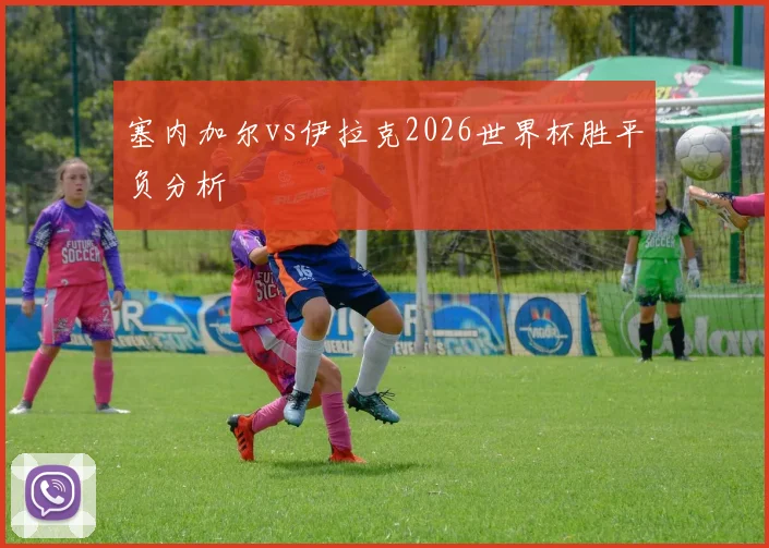 塞内加尔vs伊拉克2026世界杯胜平负分析