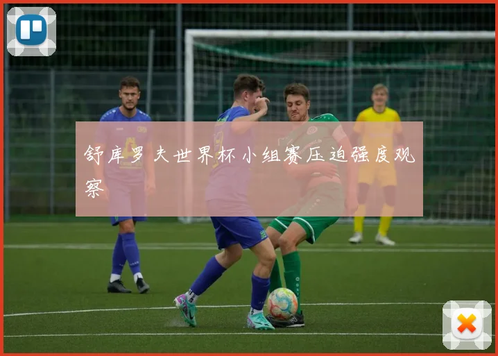 舒库罗夫世界杯小组赛压迫强度观察