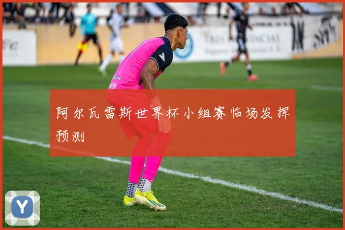 阿尔瓦雷斯世界杯小组赛临场发挥预测