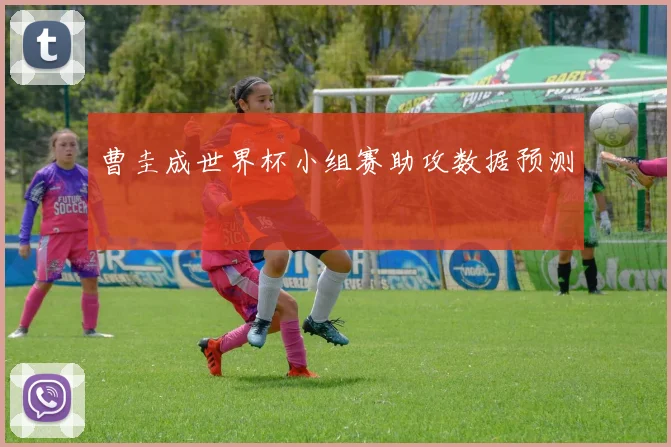 曹圭成世界杯小组赛助攻数据预测