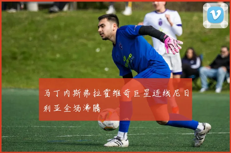 马丁内斯弗拉霍维奇巨星连线尼日利亚全场沸腾