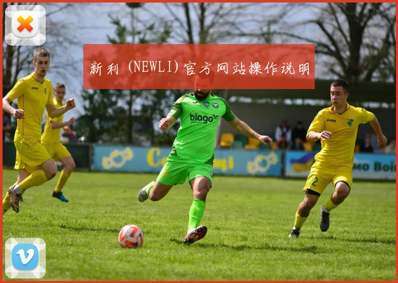 新利 (NEWLI)官方网站操作说明