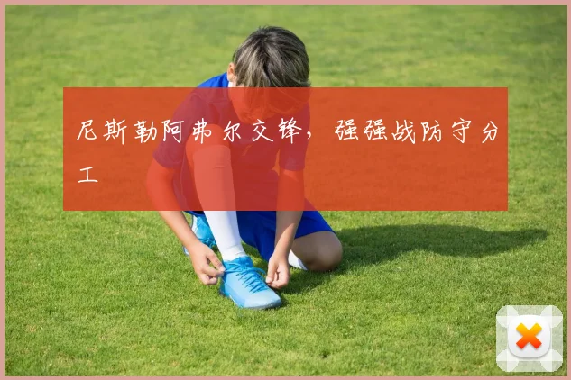 尼斯勒阿弗尔交锋，强强战防守分工